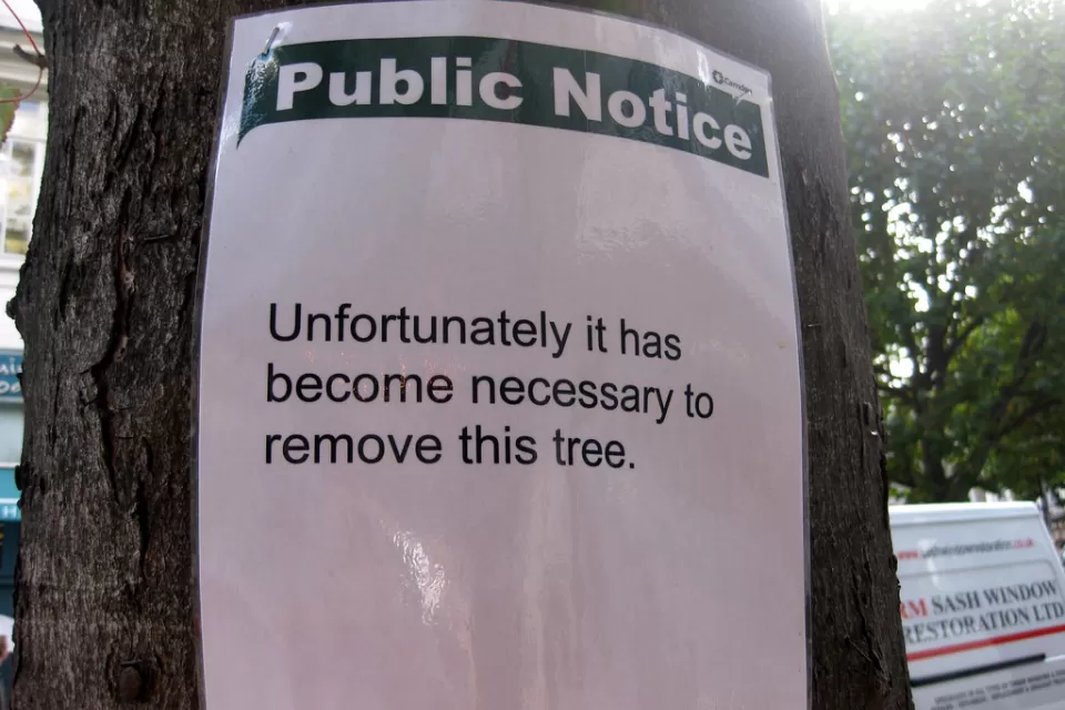 Public Notice